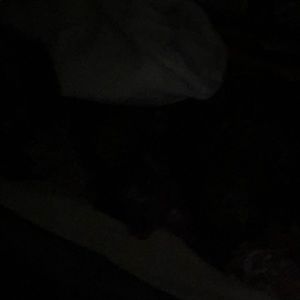 Meet your Posher, Amar